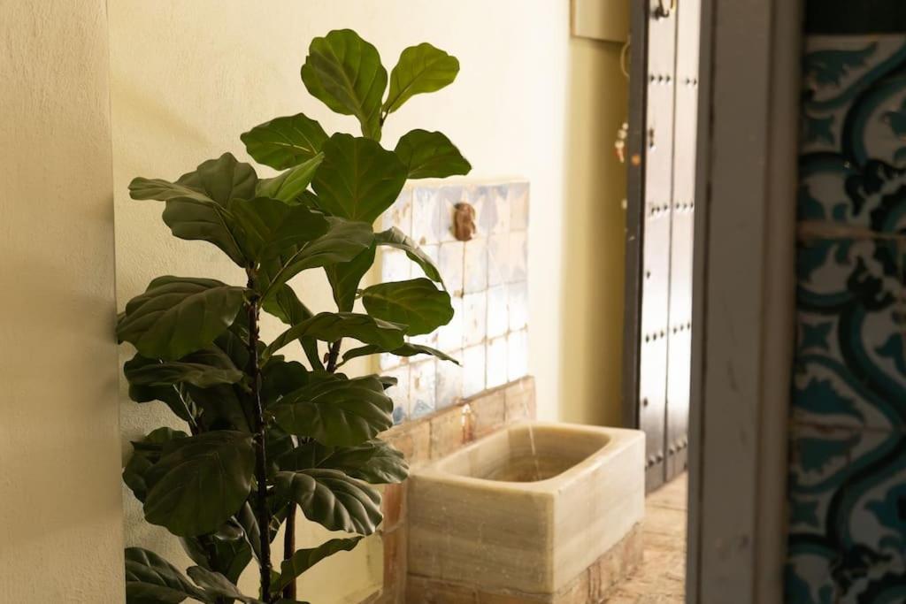 Nueva Casa Boutique En El Centro De Sevilla 외부 사진